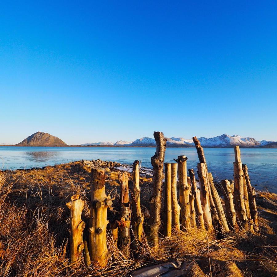 Bostad Eagle View Lofoten מראה חיצוני תמונה